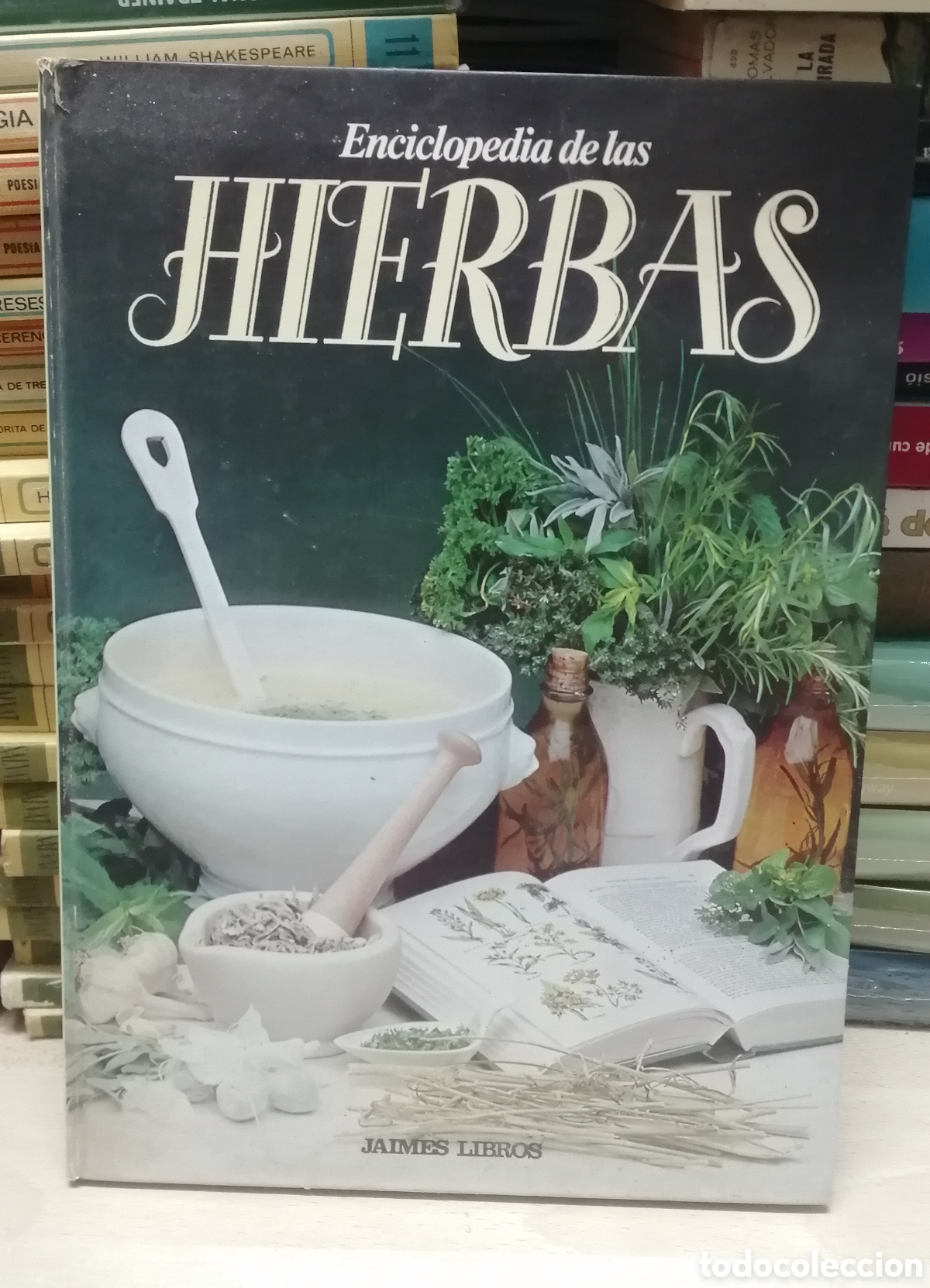 Libri di seconda mano: Enciclopedia de las hierbas Jaime Libros 1979