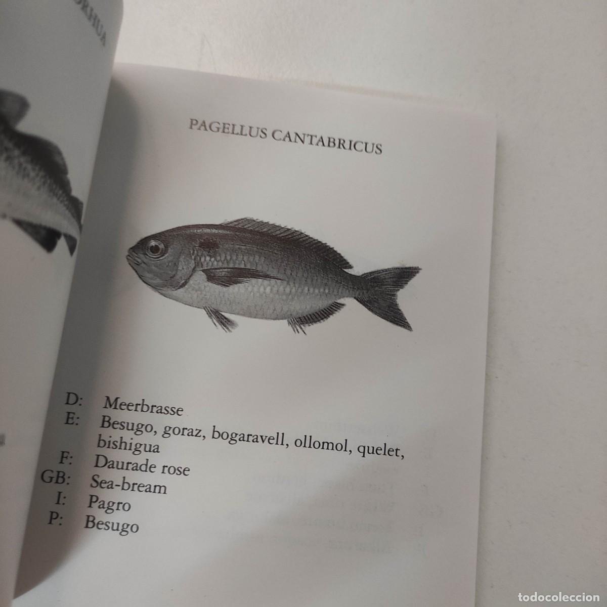 Libros de segunda mano: PESCADOS Y MARISCOS EN 9 IDIOMAS - Foto 4