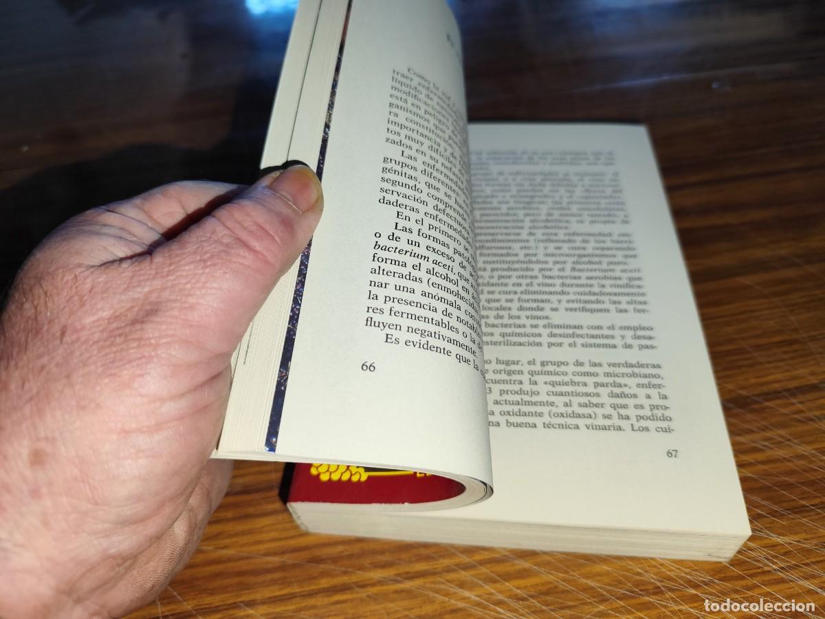 Libros de segunda mano: EL LIBRO DEL VINO / LEANDRO IBAR / EVA 149 / - Foto 5