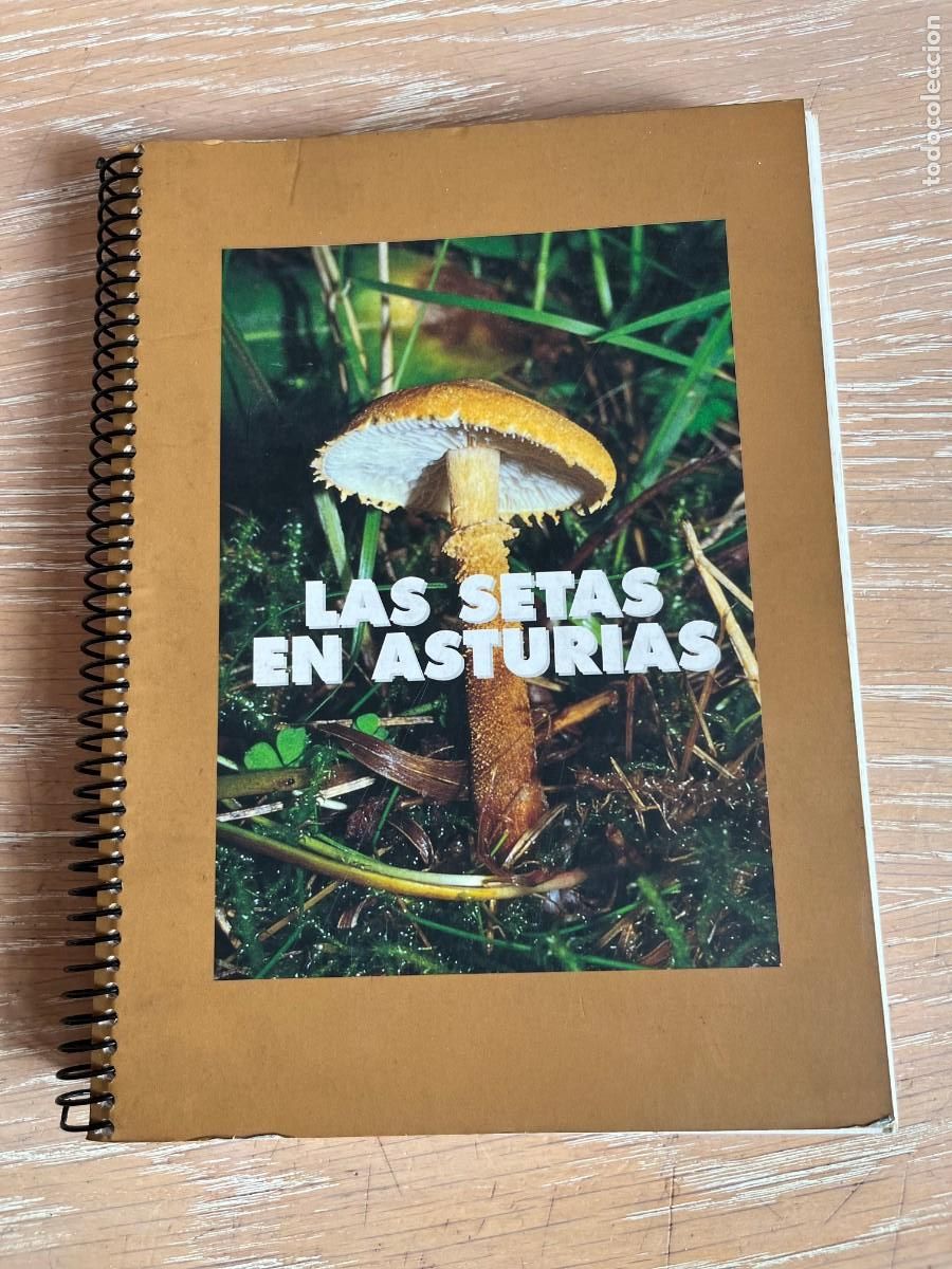 Libros de segunda mano: LAS SETAS EN ASTURIAS - Foto 1