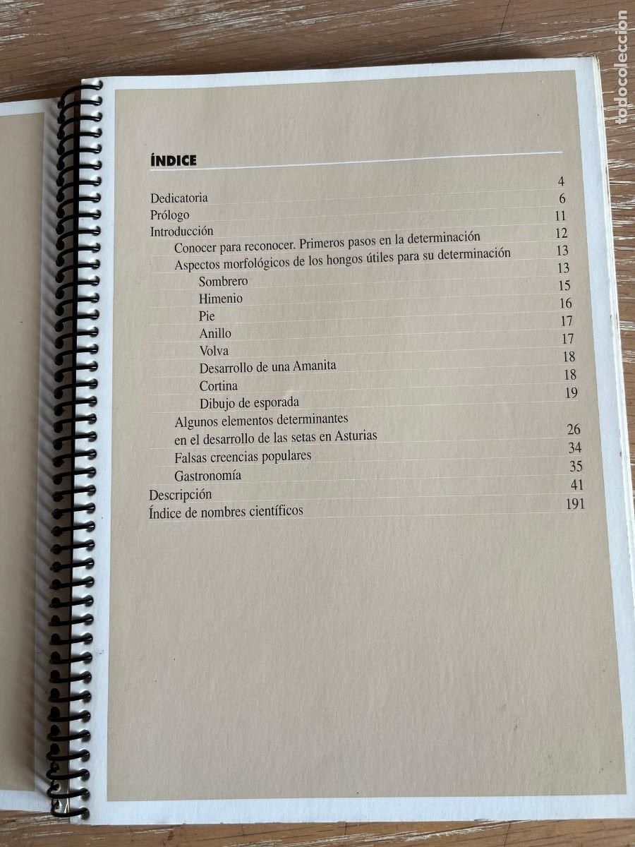 Libros de segunda mano: LAS SETAS EN ASTURIAS - Foto 2