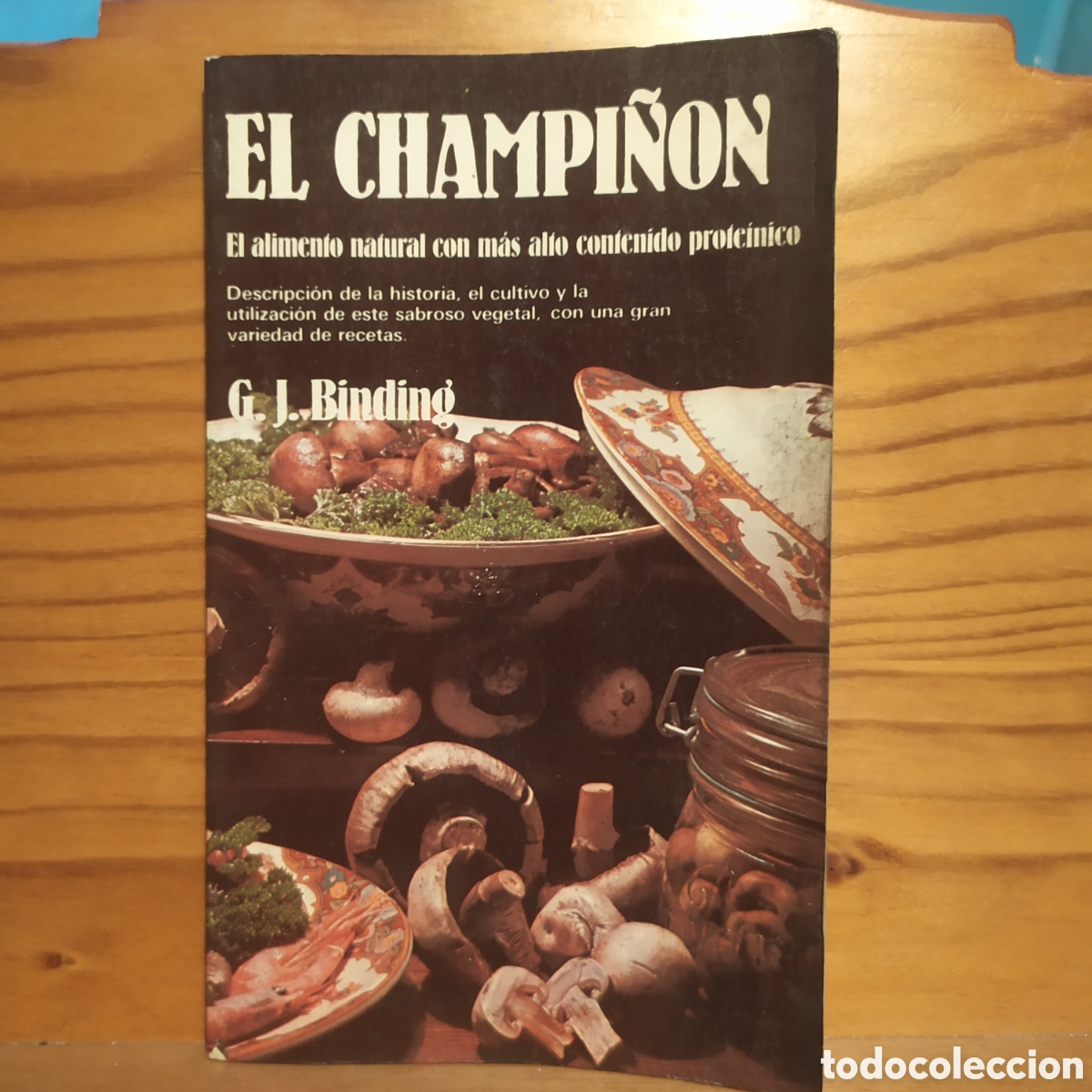 Libros de segunda mano: El champi&ntilde;&oacute;n de G. J. Binding - Foto 1