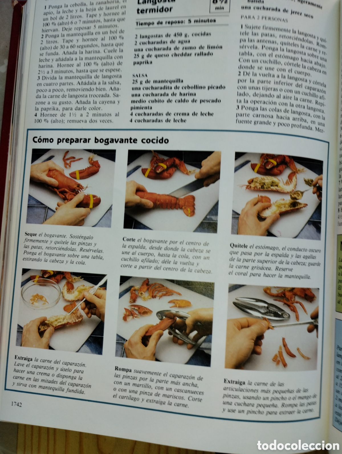 Libros de segunda mano: MICROONDAS, GUIA PR&Aacute;CTICA - Foto 15