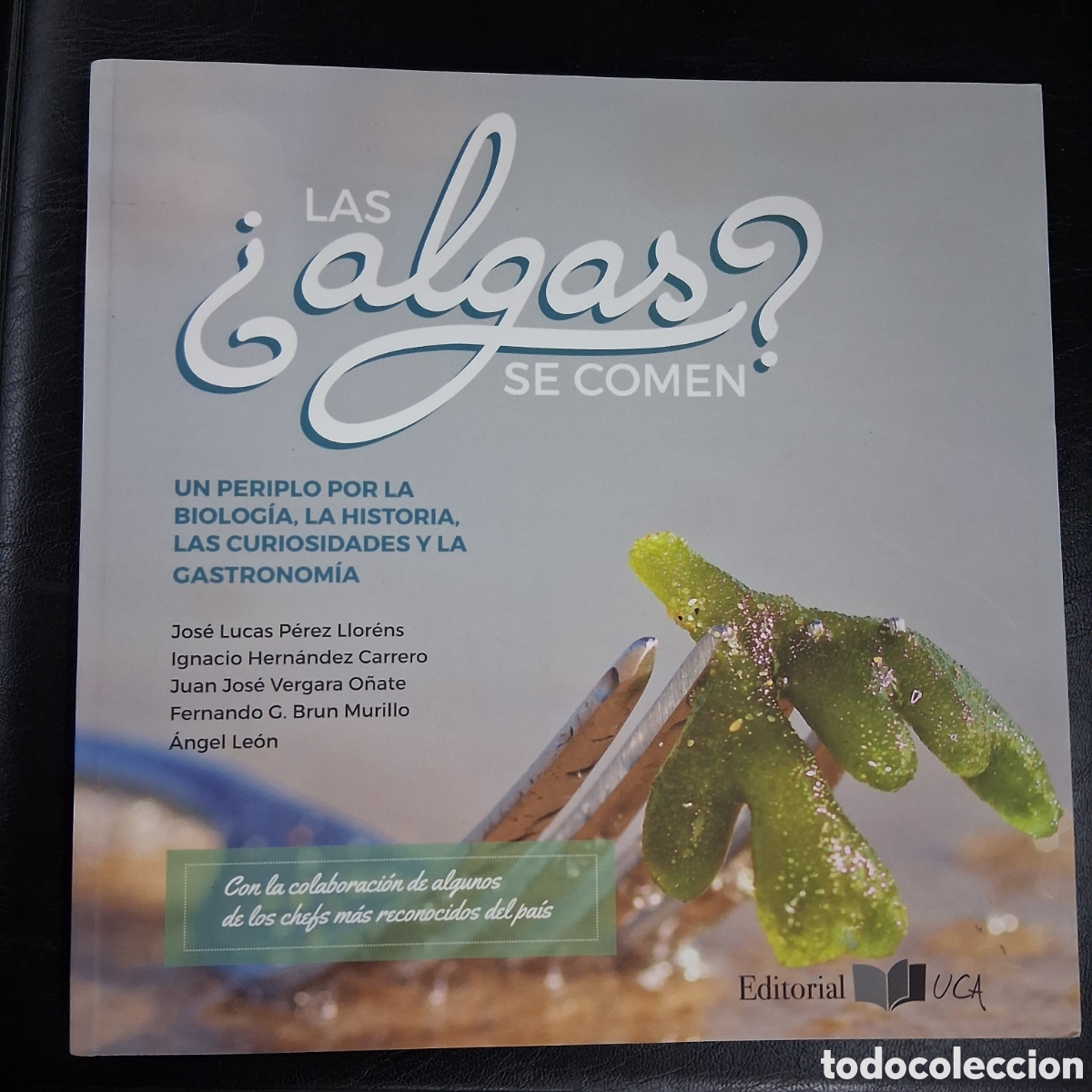Libros de segunda mano: &iquest;Las algas de comen? - Editorial UCA - Foto 1