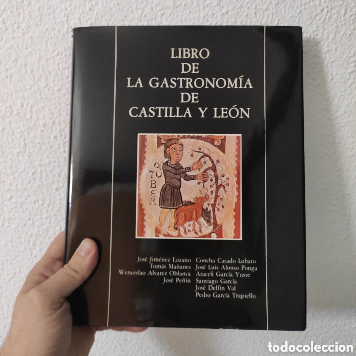 Libros de segunda mano: LIBRO DE LA GASTRONOM&Iacute;A DE CASTILLA Y LEON - Foto 1