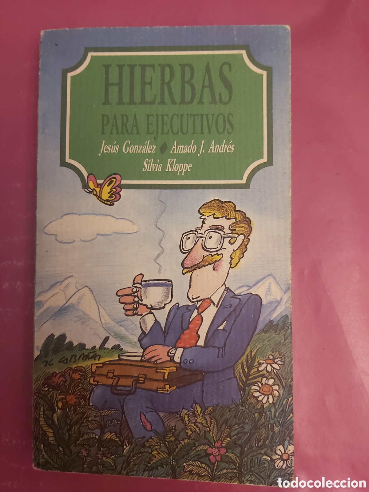 Libros de segunda mano: HIERBAS PARA EJECUTIVOS VVAA 1989 - Foto 1