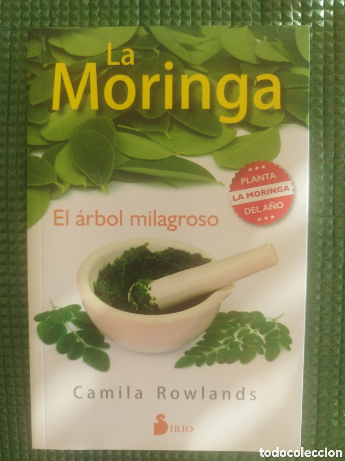 Libros de segunda mano: LA MORINGA, Camila C. - Foto 1