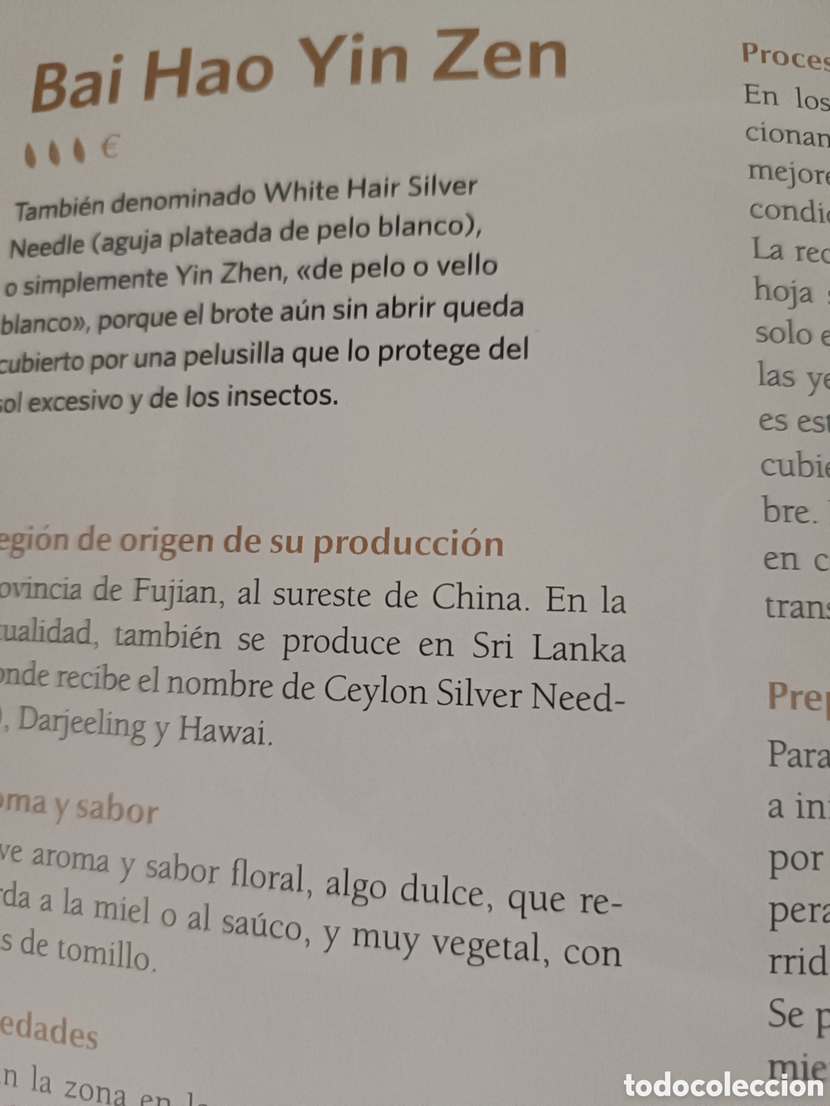 Libros de segunda mano: Gu&iacute;a Pr&aacute;ctica Beneficios del T&eacute;. - Foto 3