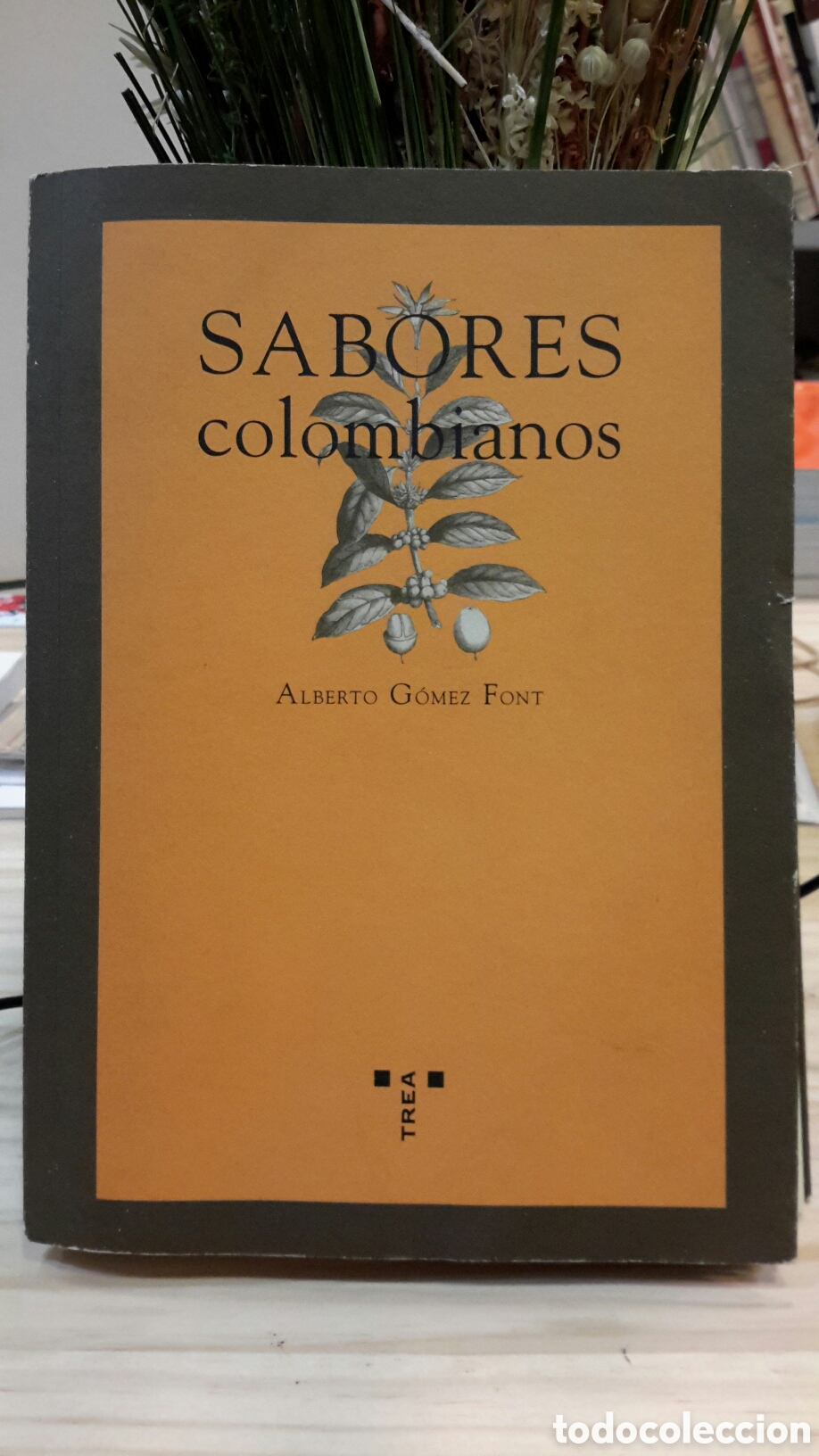 Gebrauchte B&uuml;cher: Alberto G&oacute;mez Font - Sabores colombianos