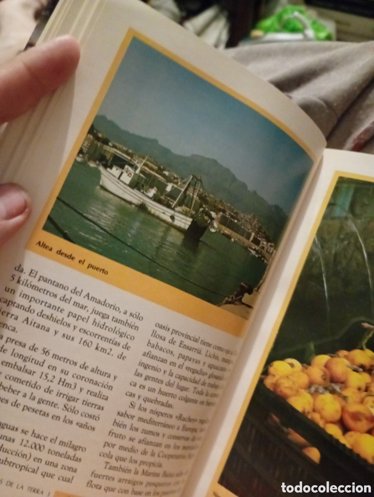 Libros de segunda mano: Menjars de la Terra 2 - Foto 5