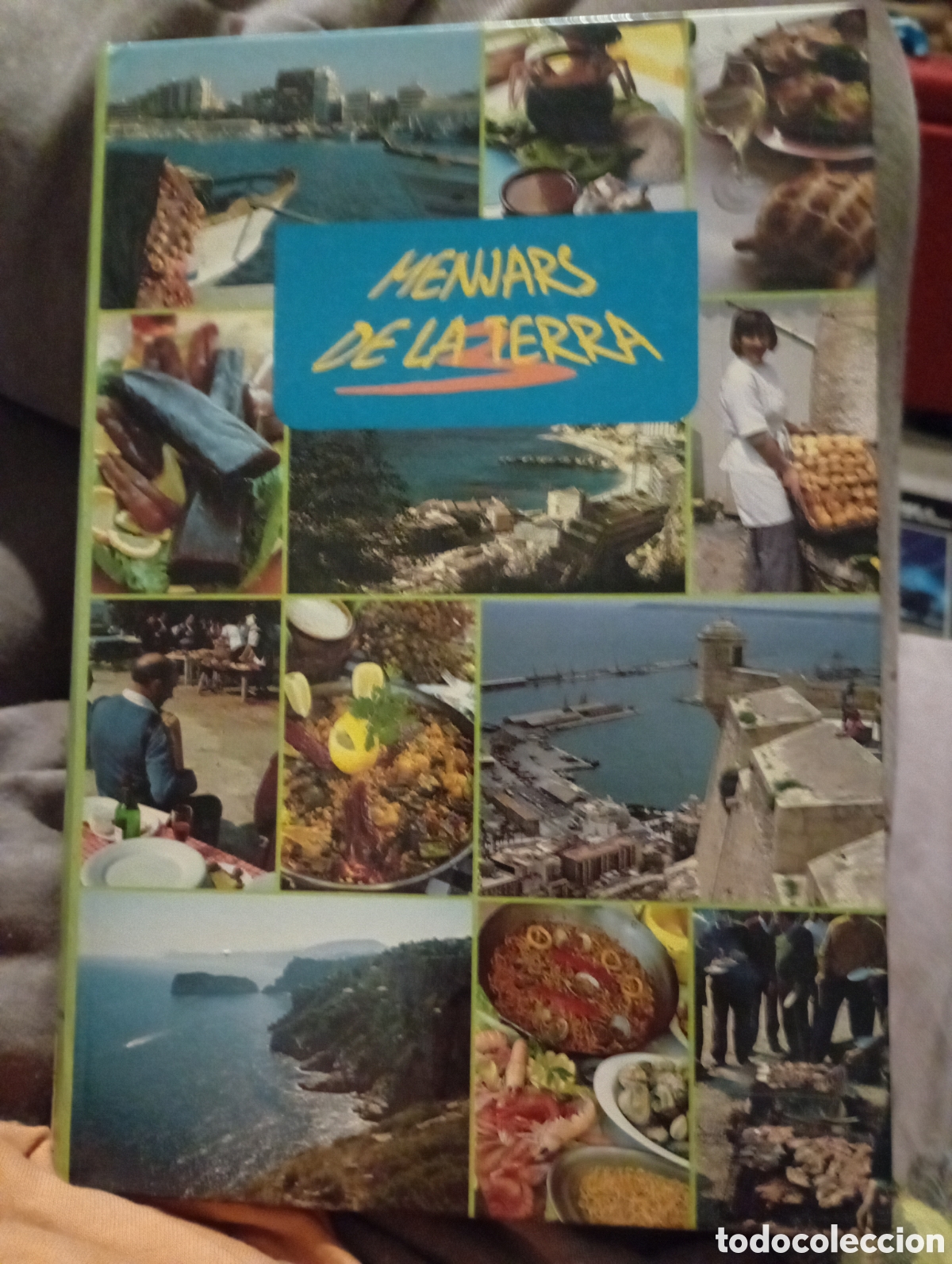 Libros de segunda mano: Menjars de la Terra 2