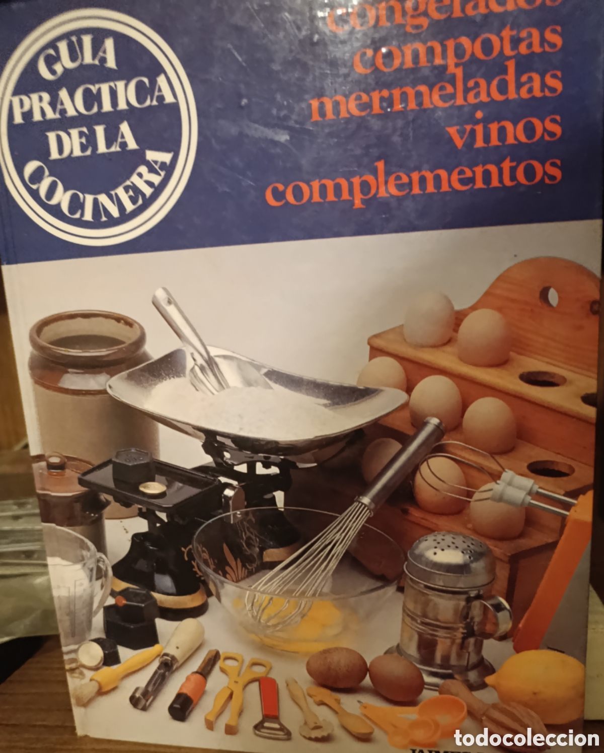 Libros de segunda mano: Gu&iacute;a Pr&aacute;ctica De La Cocinera
