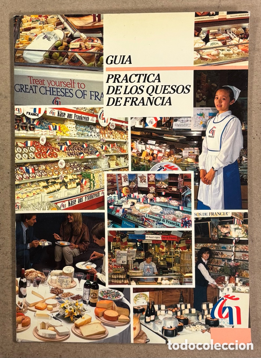Libros de segunda mano: GU&Iacute;A PR&Aacute;CTICA DE LOS QUESOS DE FRANCIA.