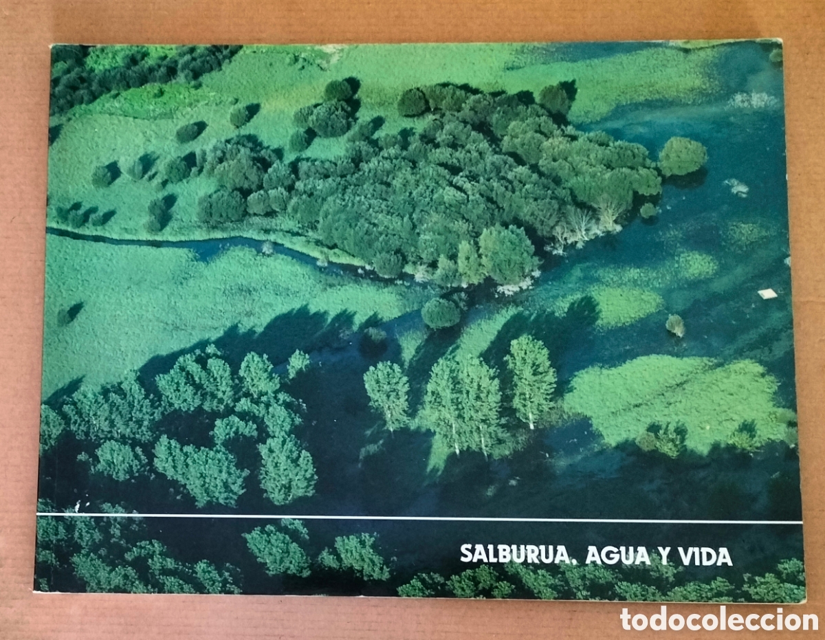 Gebrauchte B&uuml;cher: Salburua, agua y vida. Textos Luis Lobo Urrutia. Quintas fot&oacute;grafos. Edici&oacute;n CEA, 2004. Libro