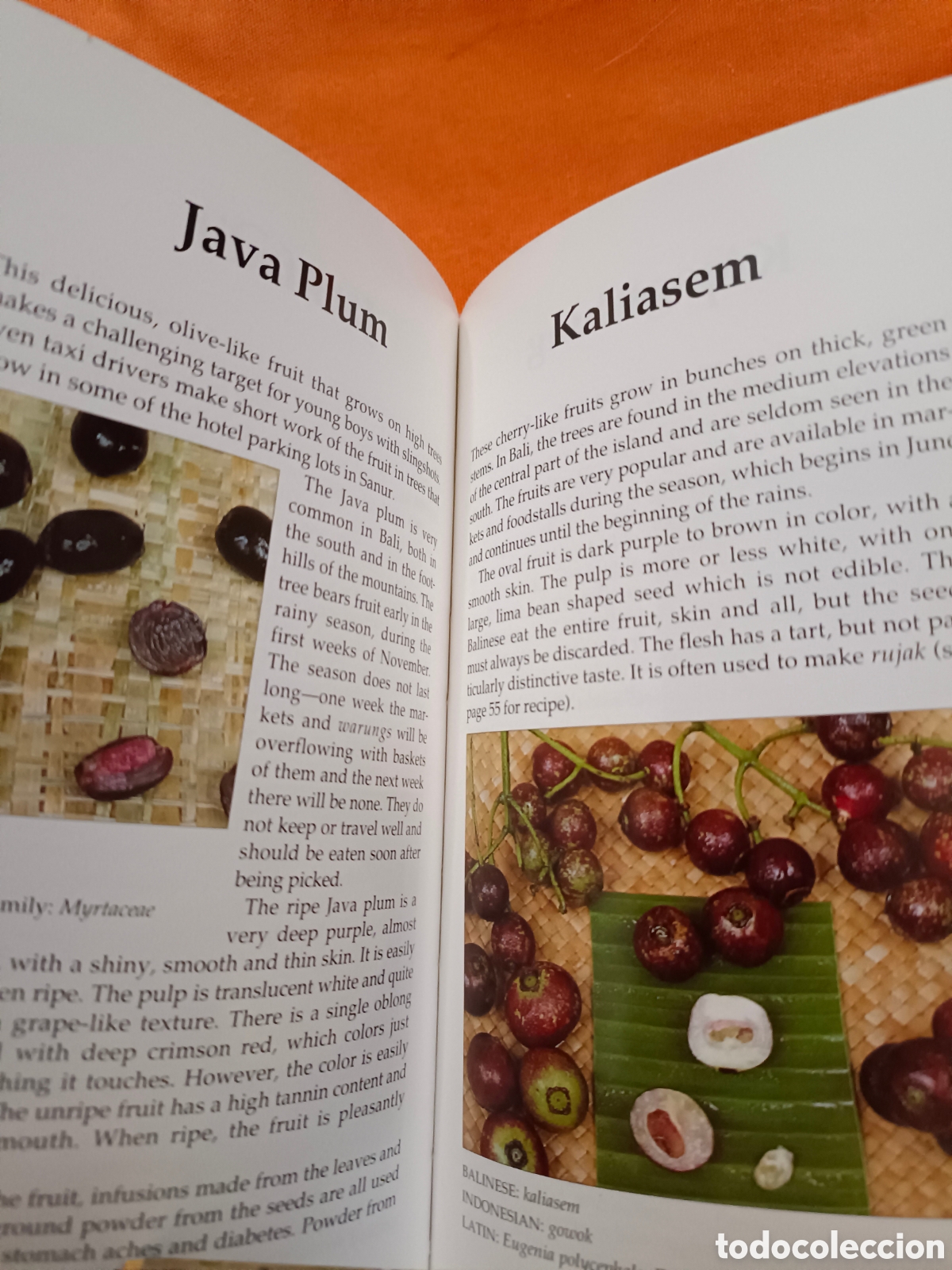 Libros de segunda mano: Frutos de la isla de Bali - Foto 3