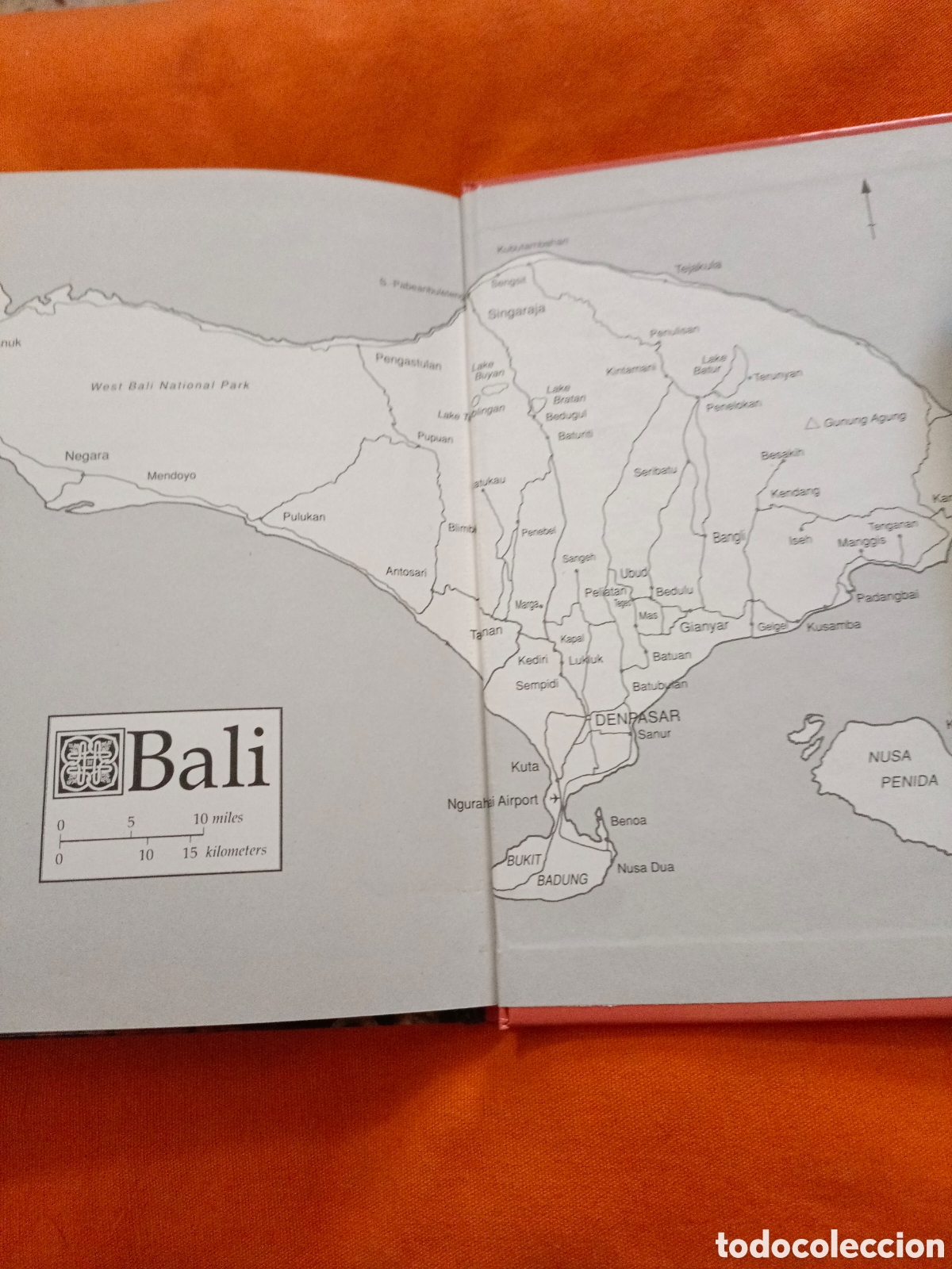 Libros de segunda mano: Frutos de la isla de Bali - Foto 5