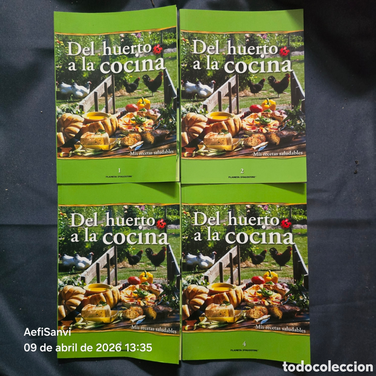 Libros de segunda mano: DEL HUERTO A LA COCINA, MIS RECETAS SALUDABLES, 4 TOMOS (PLANETA DEAGOSTINI)