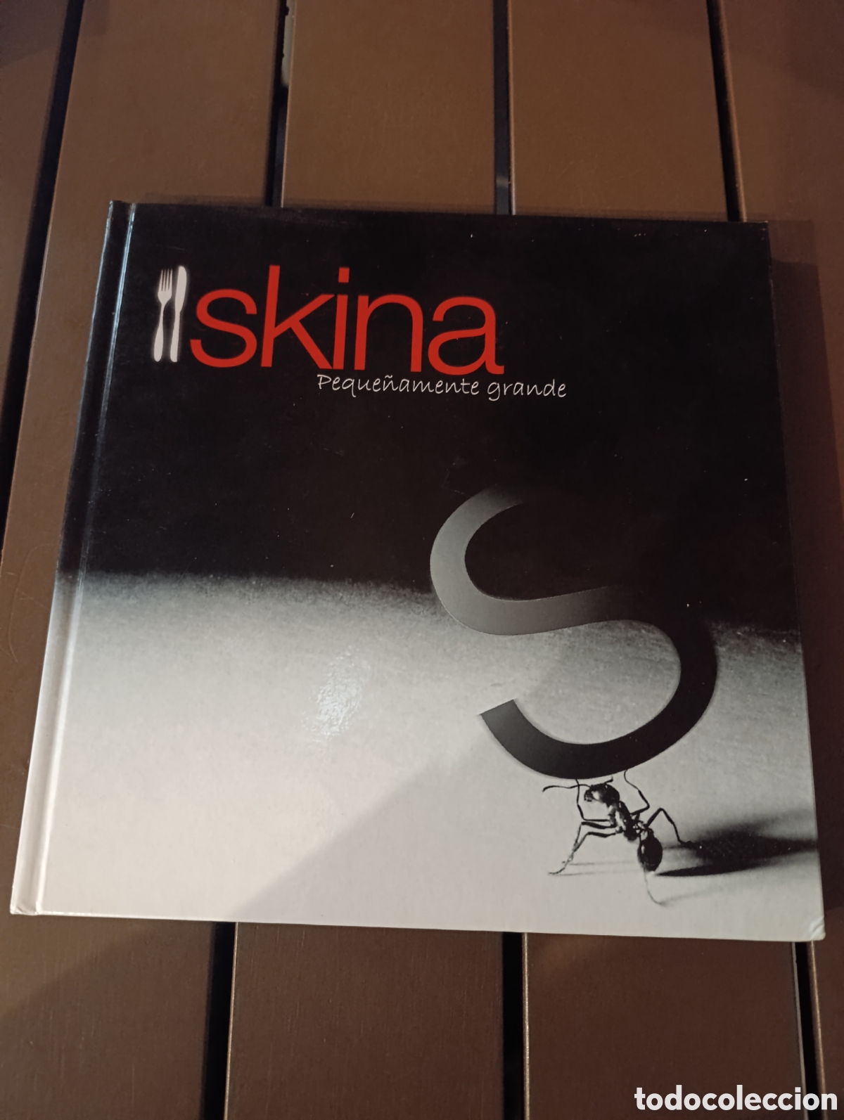 Libros de segunda mano: Skina. Peque&ntilde;a mente grande