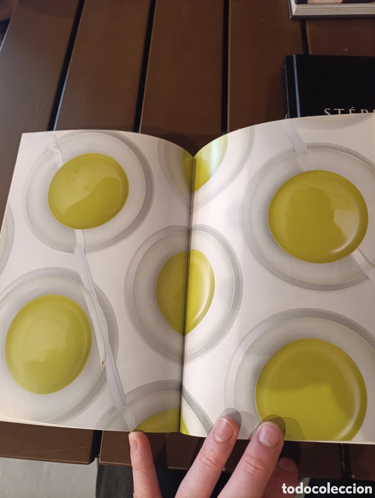 Libros de segunda mano: St&eacute;phane Leroux Mati&egrave;re chocolate - Foto 10