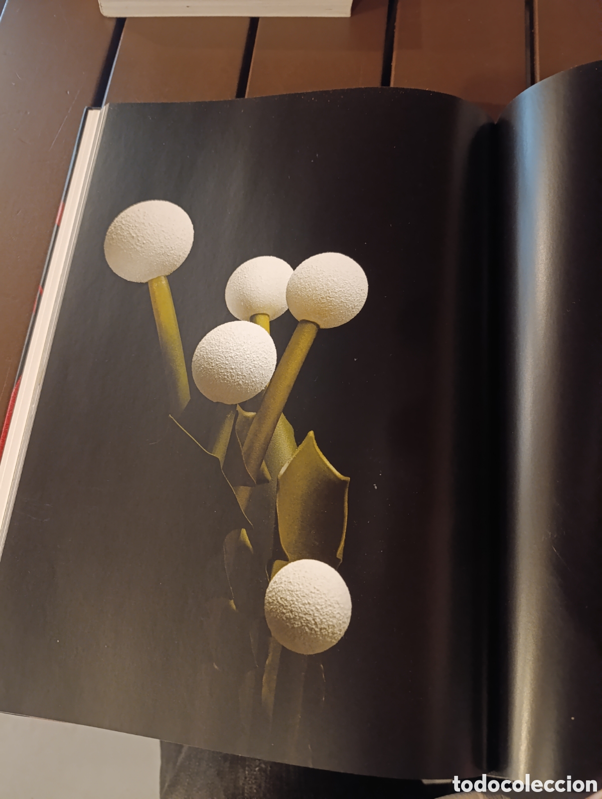 Libros de segunda mano: St&eacute;phane Leroux Mati&egrave;re chocolate - Foto 20