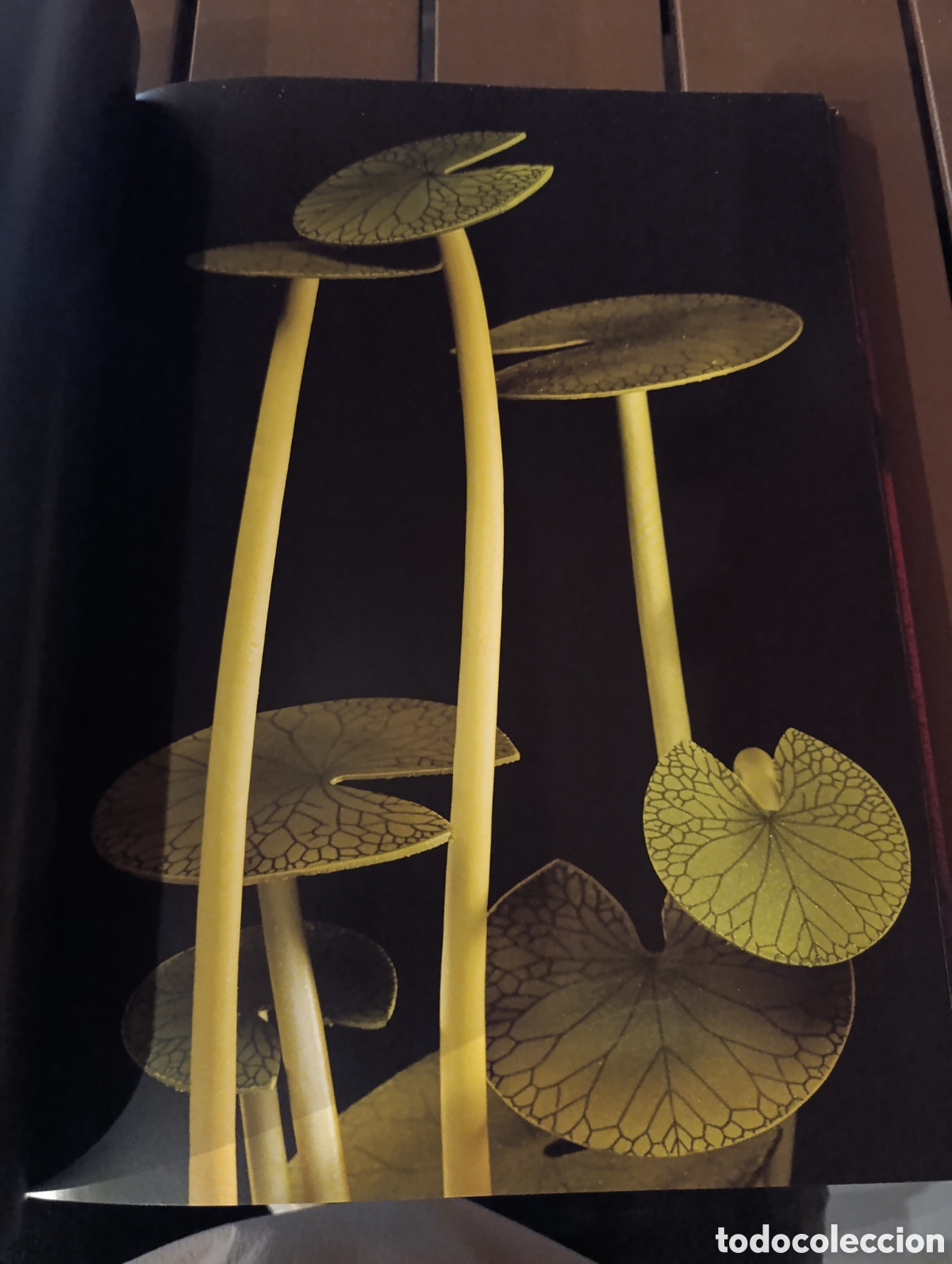 Libros de segunda mano: St&eacute;phane Leroux Mati&egrave;re chocolate - Foto 23