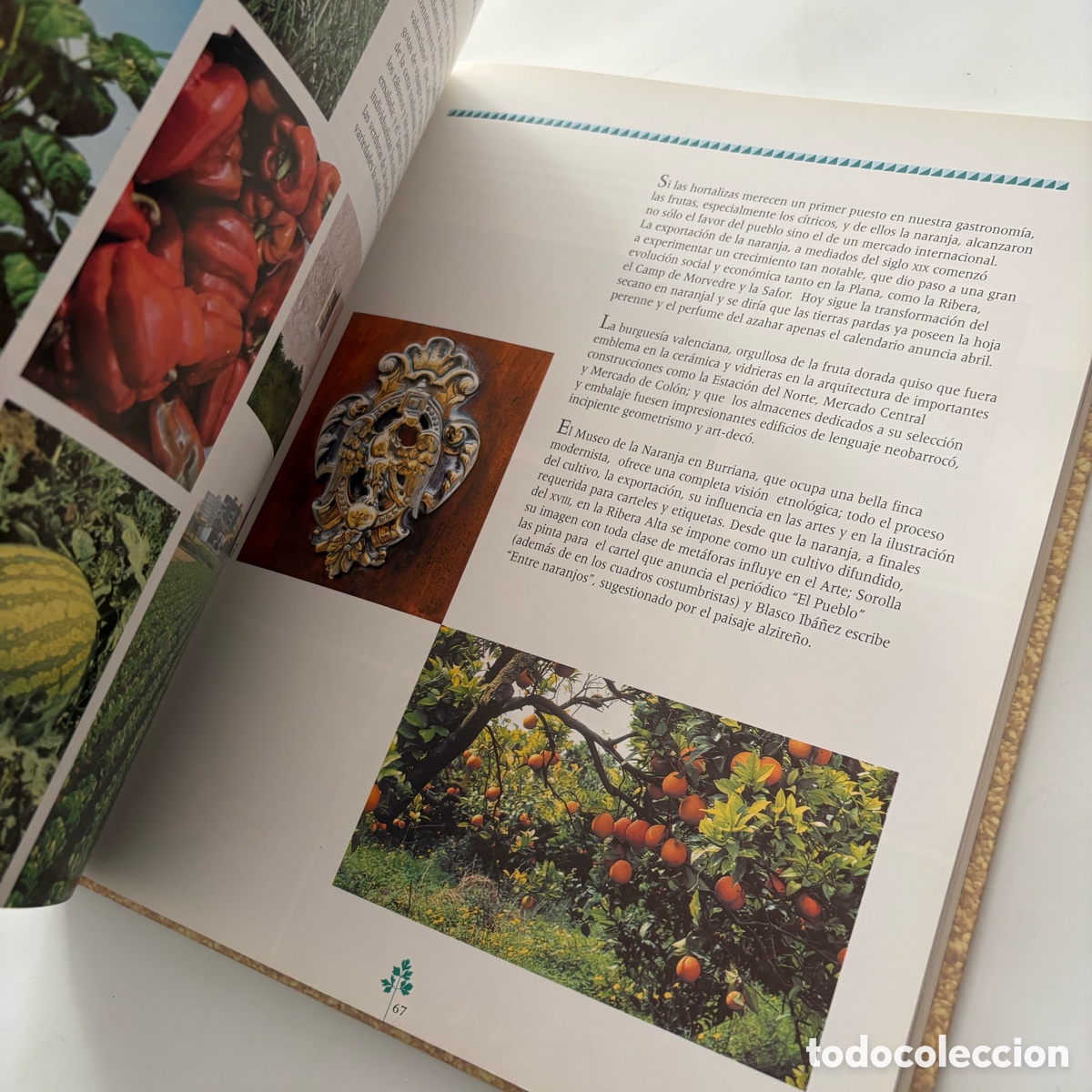 Libros de segunda mano: Libro comer en tierras valencianas - Foto 3