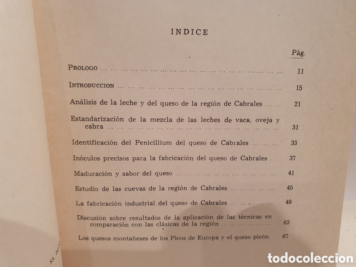 Libros de segunda mano: LOS QUESOS MONTA&Ntilde;ESES DE LOS PICOS DE EUROPA Y EL PISO PIC&Oacute;N. FABRICACION Y ESTUDIO QUESO CABRALES.
