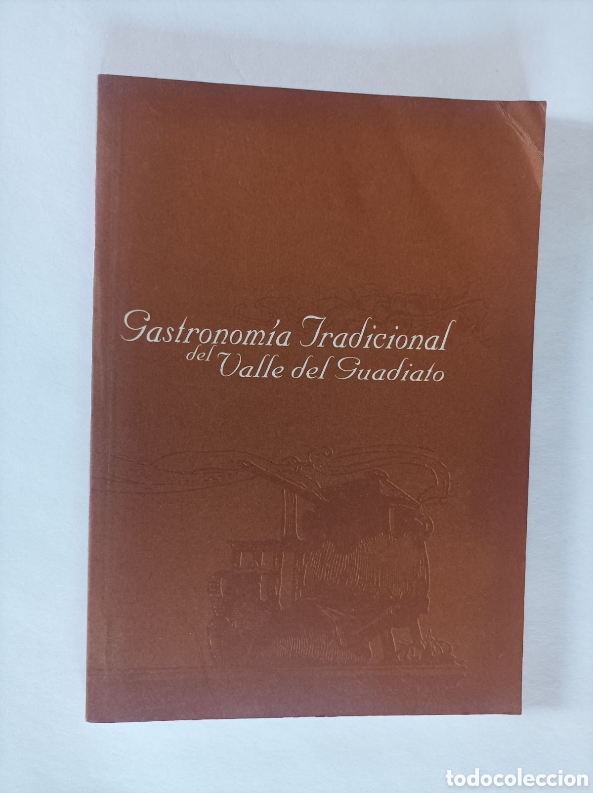 Livros em segunda m&atilde;o: Gastronom&iacute;a tradicional del Valle del Guadiato