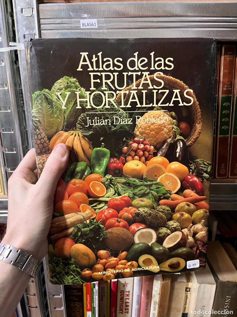 Libros de segunda mano: BLAS61 Atlas de las FRUTAS Y HORTALIZAS Julian Diaz Robledo