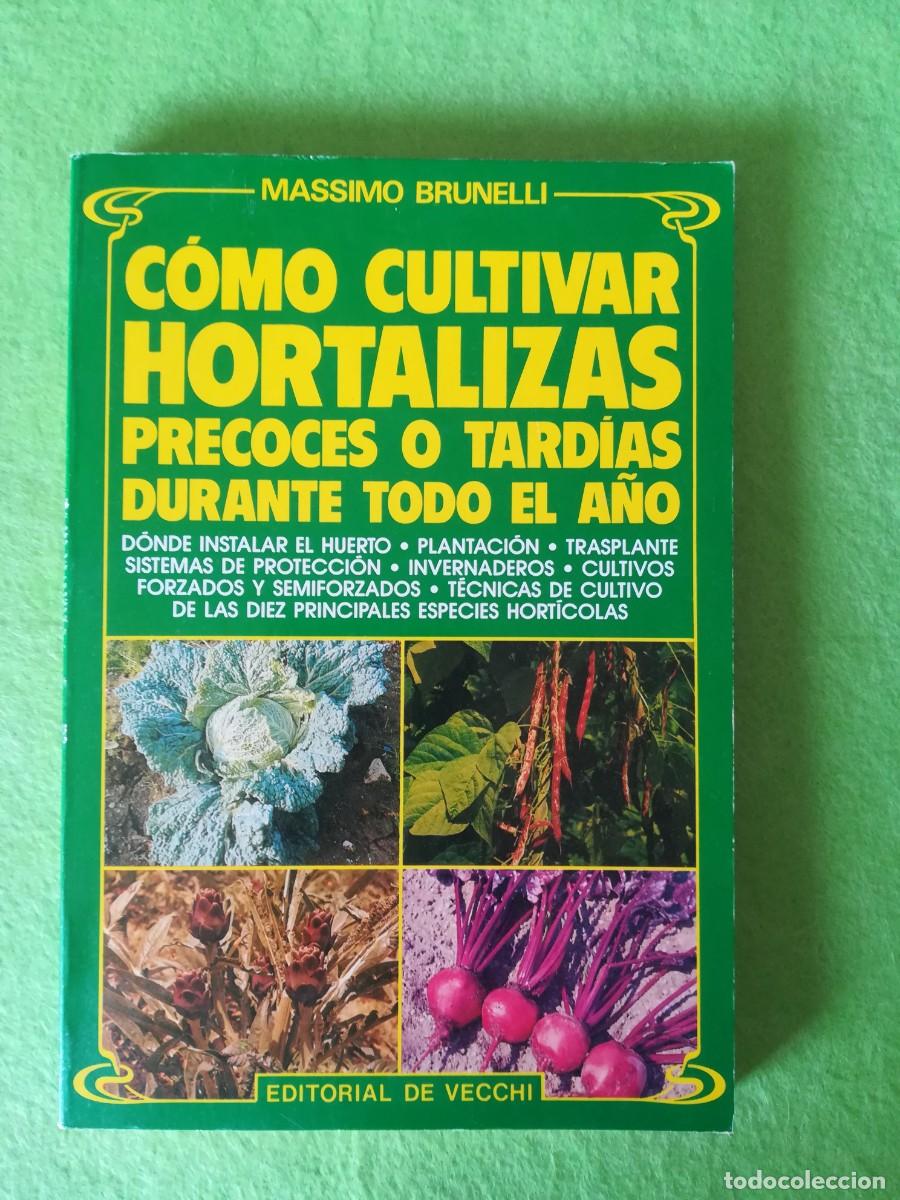 Libros de segunda mano: Como cultivar hortalizas Massimo Brunelli editorial de vecchi 1985