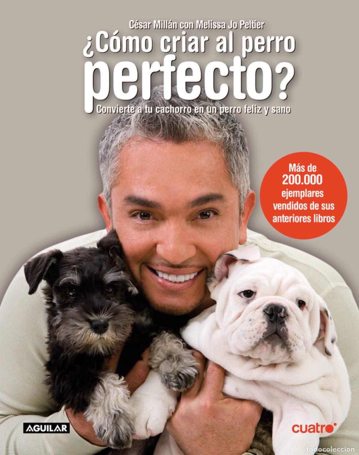 Libros de segunda mano: &iquest;C&oacute;mo criar al perro perfecto? (SIN CODIFICAR)