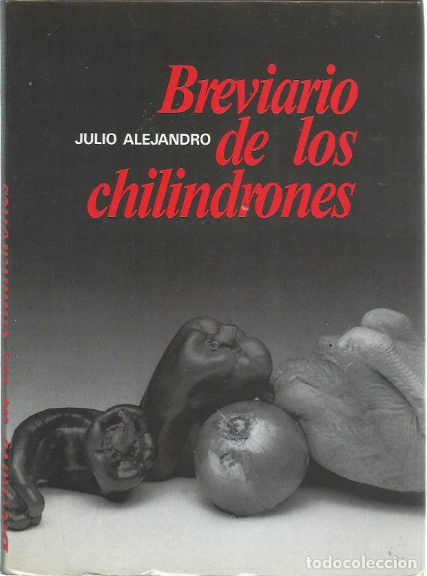 Libros de segunda mano: Julio ALEJANDRO : Breviario de los Chilindrones. (Pr&oacute;logo de Agust&iacute;n S&aacute;nchez Vidal. Zaragoza, 1985)