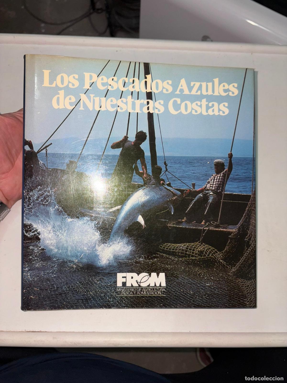 Libros de segunda mano: LOS PESCADOS AZULES DE NUESTRAS COSTAS. VV.AA.
