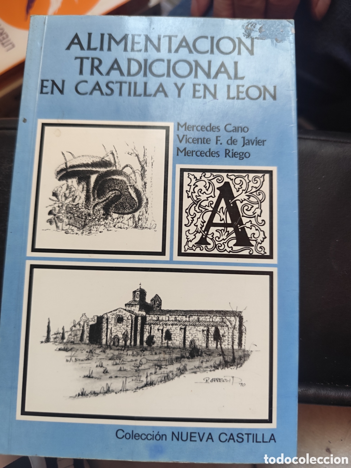 Libri di seconda mano: ALIMENTACION TRADICIONAL EN CASTILLALEON RF349