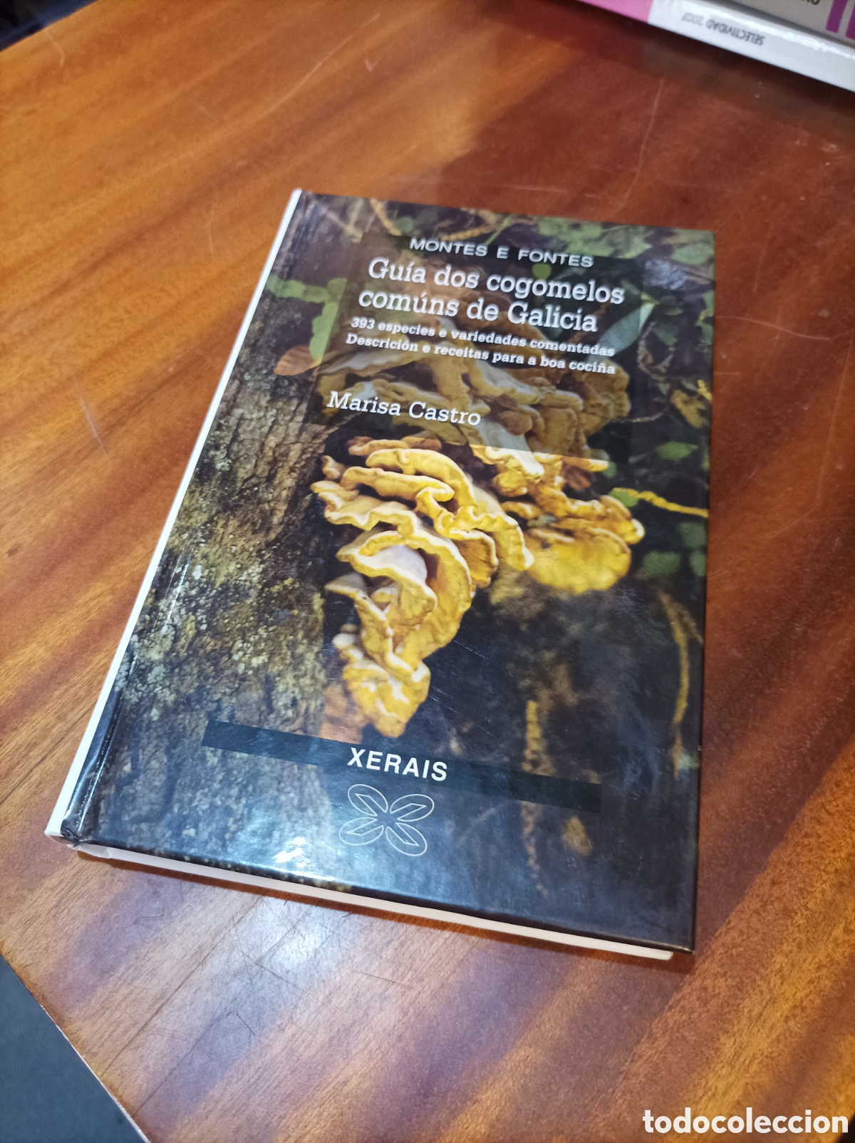 Livres d'occasion: GUIA DOS COGOMELOS COMUNS DE GALICIA.MARISA CASTRO.. XERAIS 2000