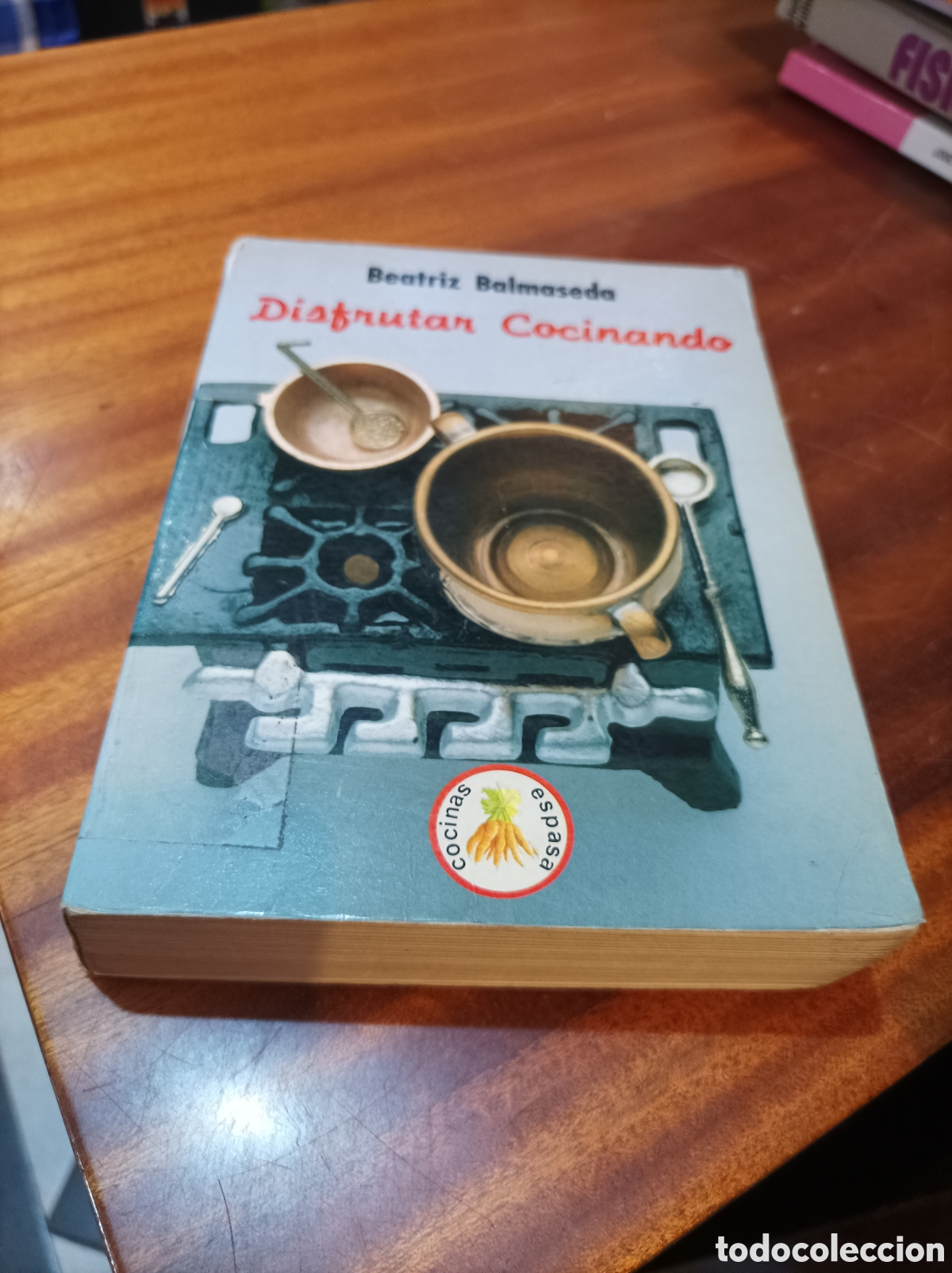 Libros de segunda mano: DISFRUTAR COCINANDO DESCATALOGADO.BEATRIZ BALMASEDA