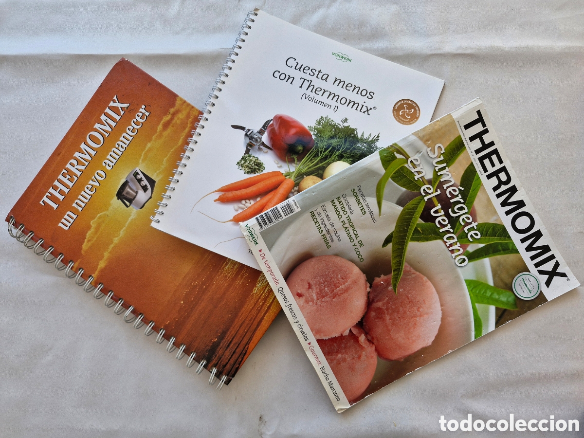 Libros de segunda mano: LOTE THERMOMIX: UN NUEVO AMANECER, CUESTA MENOS... Y REVISTA - RECETAS