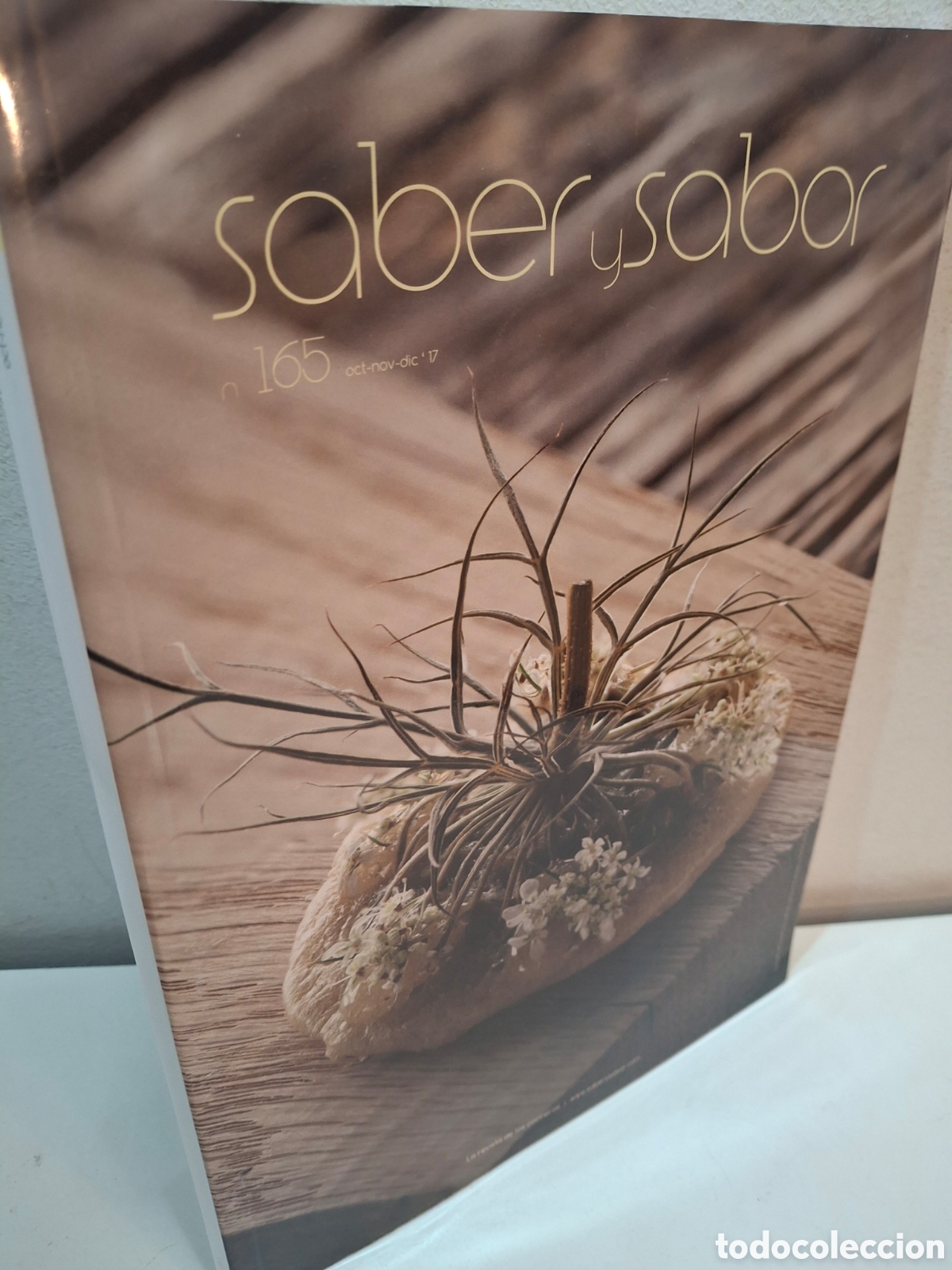 Libros de segunda mano: REVISTA SABER Y SABOR N&ordm; 167, LA REVISTA DE LOS COCINEROS, BOOKS FOR CHEFS, 2017