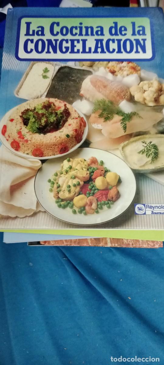 Libros de segunda mano: LA COCINA DE LA CONGELACION LIBRO GG-RM