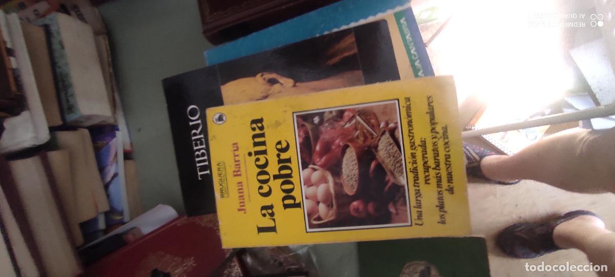 Libros de segunda mano: LIBRO DE COCINA: LA COCINA POBRE (JUANA BARRIA). BRUGUERA