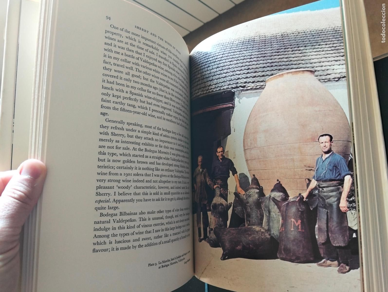 Libros de segunda mano: Enologia. Sherry and The Wines of Spain, George Rainbird, 1966 VISITA MI CATALOGO L55