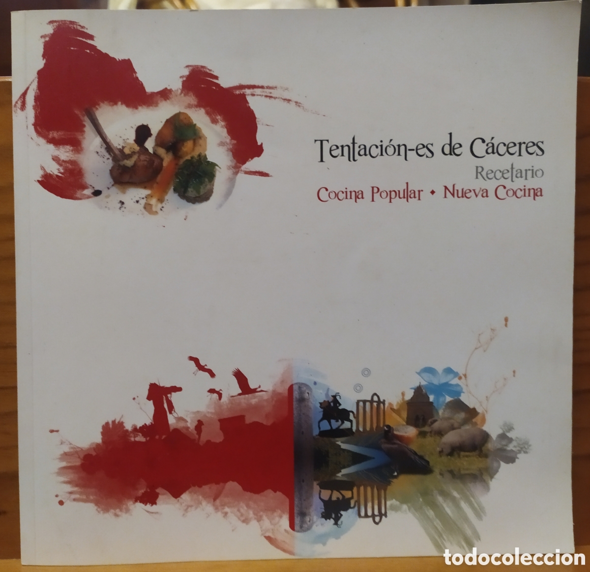 Libros de segunda mano: Tentacion-es de C&aacute;ceres, Recetario - Cocina Popular y Nueva Cocina - Diputaci&oacute;n de C&aacute;ceres