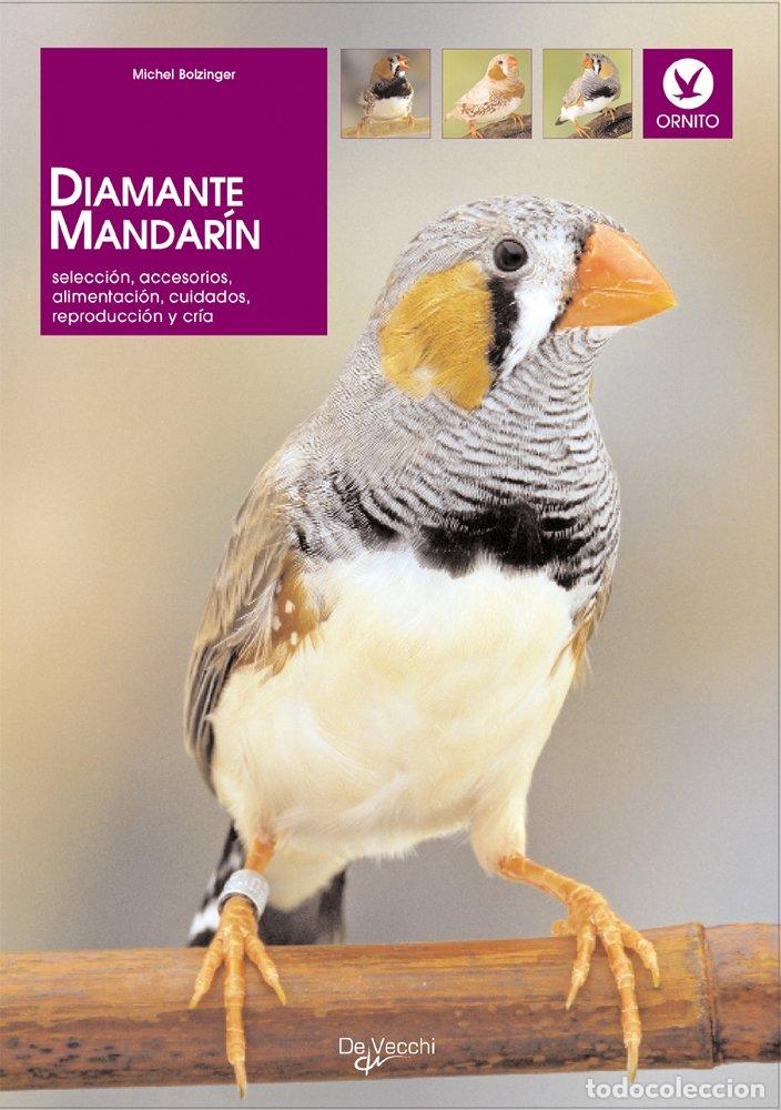 Libri di seconda mano: Diamante mandar&iacute;n (Animales)