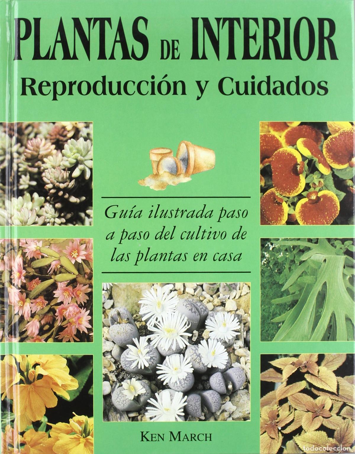 Gebrauchte B&uuml;cher: PLANTAS DE INTERIOR-REPRODUCC.Y CUIDADOS (SIN COLECCION)