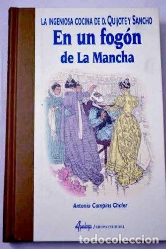 Libros de segunda mano: En un fog&oacute;n de La Mancha : la ingeniosa cocina de D. Quijote y Sancho Panza