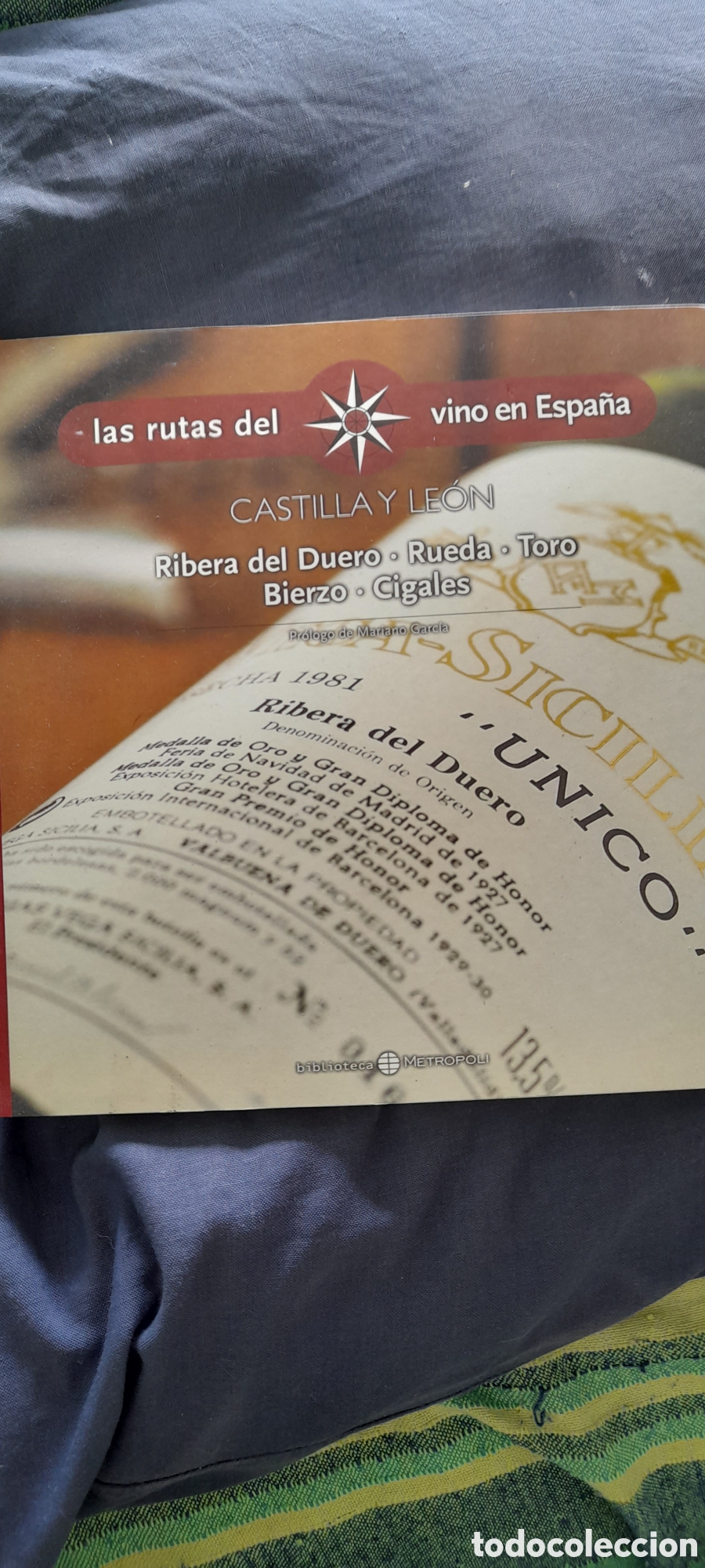 Libros de segunda mano: Rutas del vino en Espa&ntilde;a. Castilla y Le&oacute;n