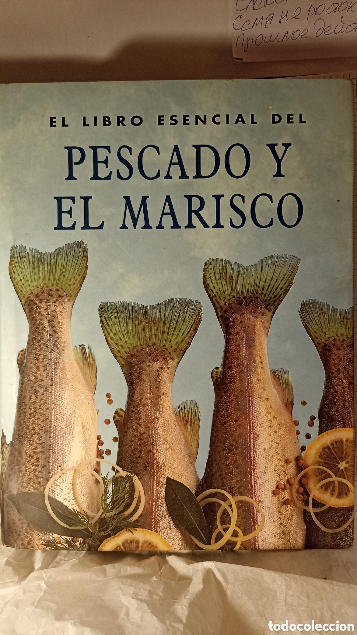 Libros de segunda mano: EL LIBRO ESENCIAL DEL PESCADO Y EL MARISCO - KONEMANN, 2000