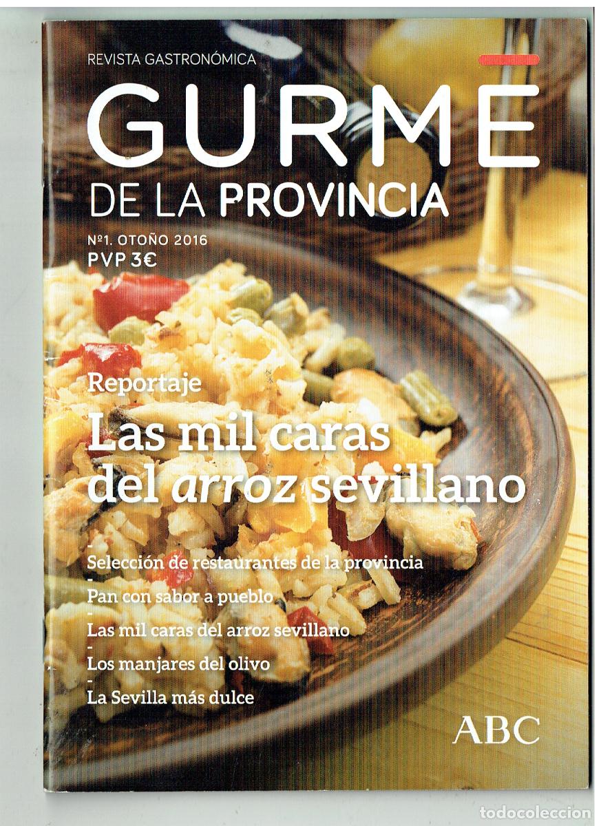 Libros de segunda mano: REVISTA GASTRONOMICA. GURME DE LA PROVINCIA. N&ordm; 1. OTIO&Ntilde;O, 2016. (P/C4)