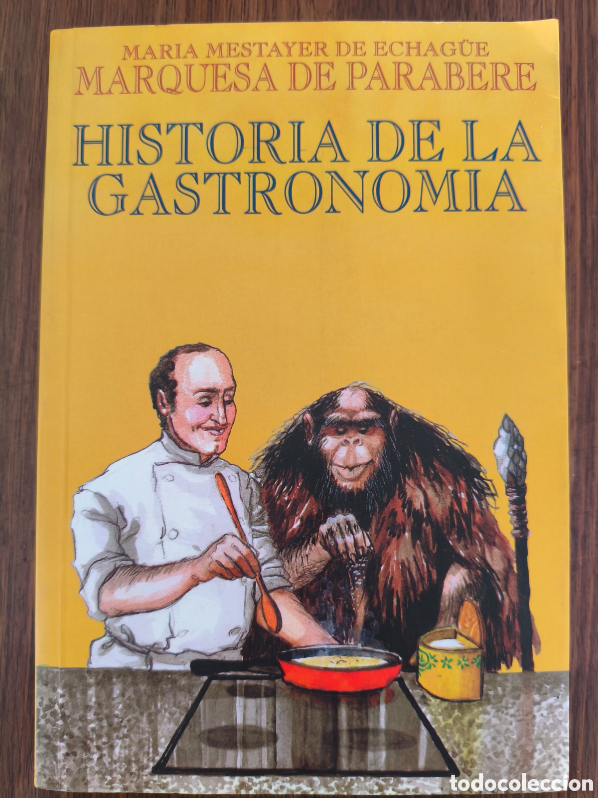 Libros de segunda mano: HISTORIA DE LA GASTRONOM&Iacute;A MARIA MESTAYER DE ECHAG&Uuml;E MARQUESA DE PARABERE ED. R & B 1996