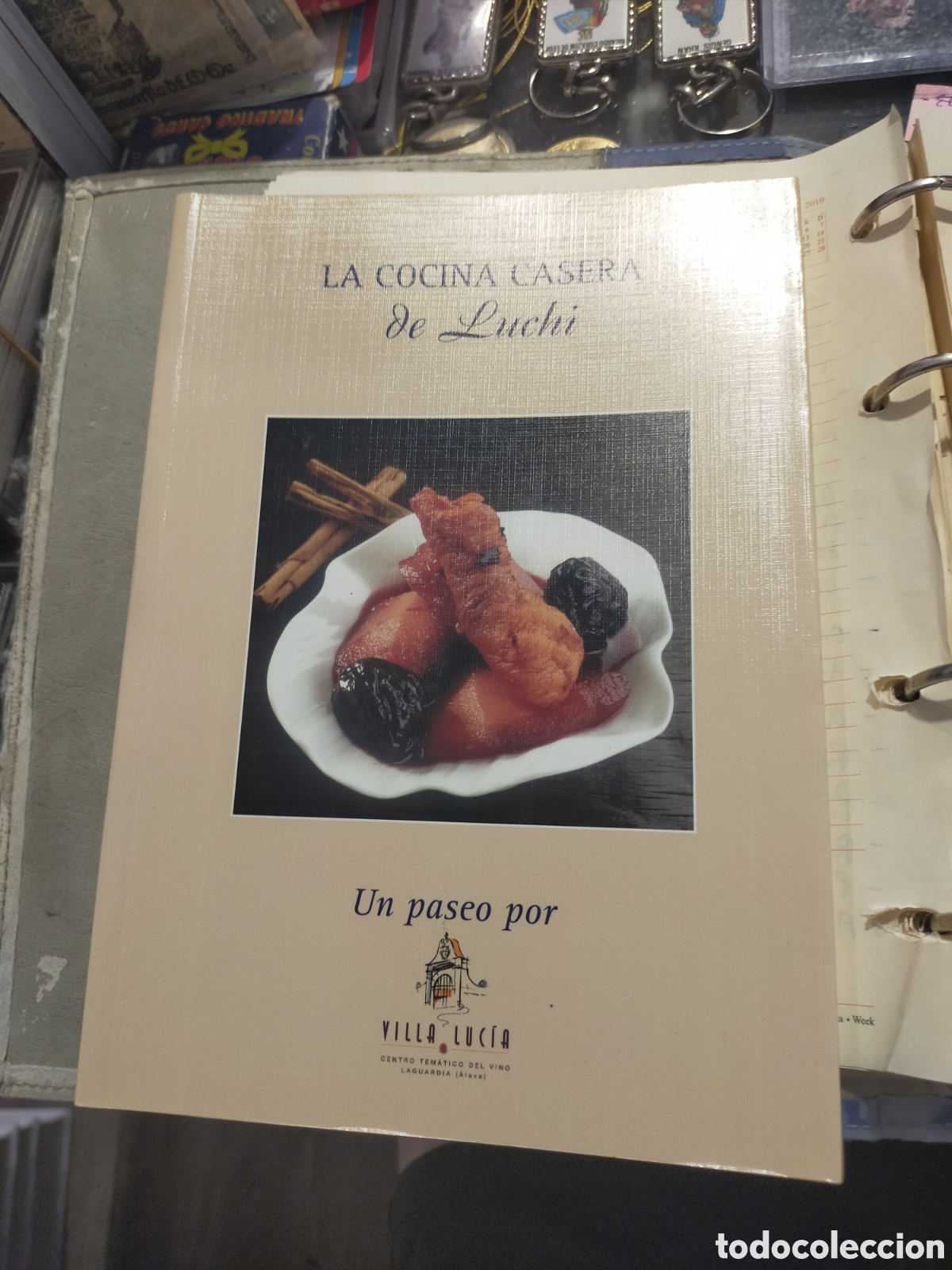 Libros de segunda mano: LA COCINA CASERA DE LUCHI UN PASEO POR VILLA LUCIA COMO NUEVO